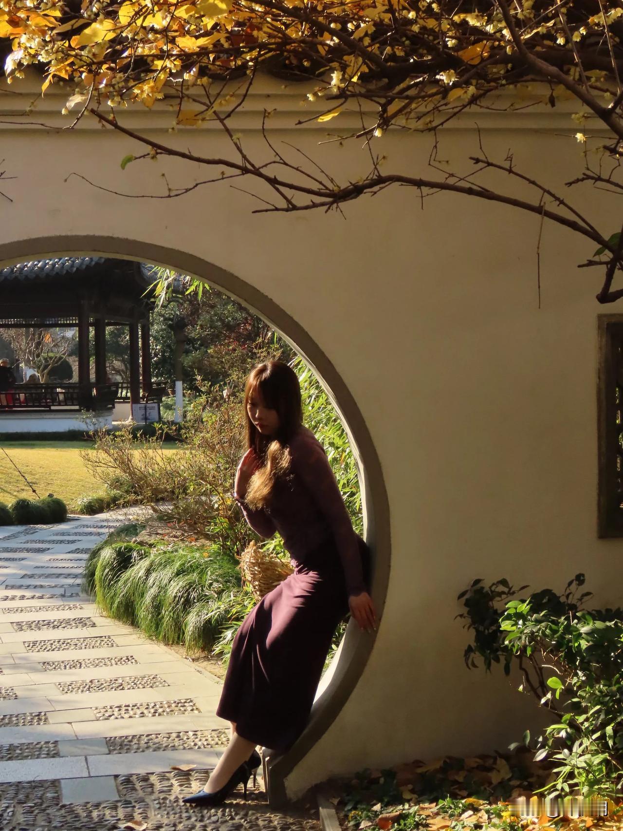 腊梅婀娜多姿
月湖