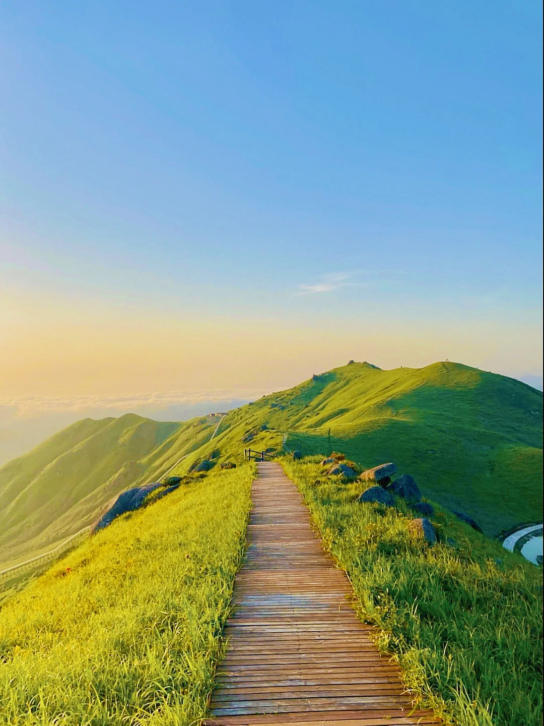 不是国外 这是福建的天然草场