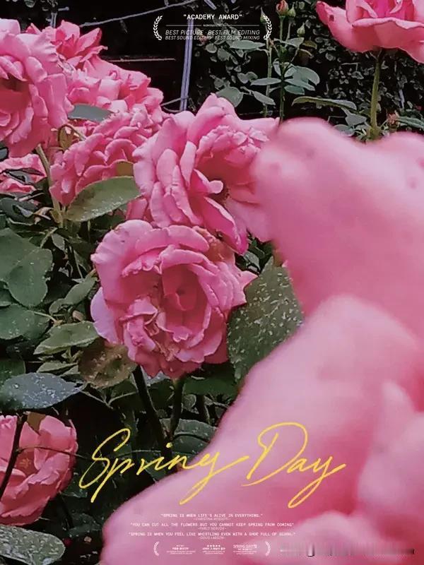 🌷春日生活打卡季
风是甜的，阳光是暖的，
出门走走，连心情都变得温柔起来。
不