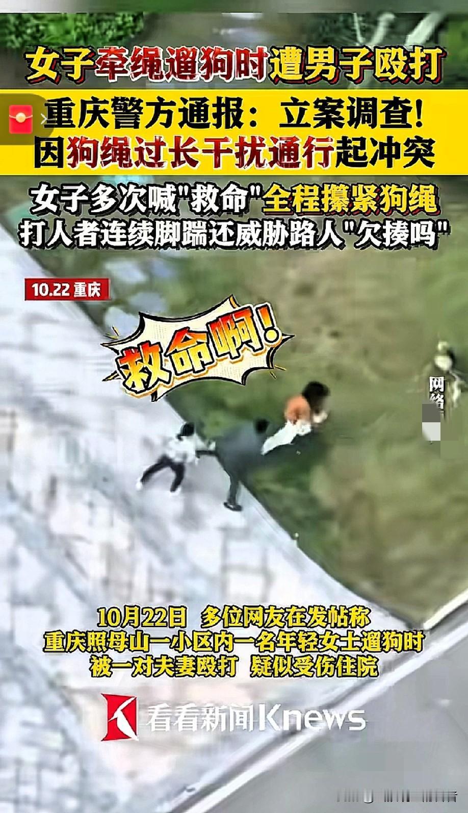 重庆遛狗纠纷升级暴力事件！
女子遭殴打下体出血，施暴者疑为企业负责人欲私了遭拒