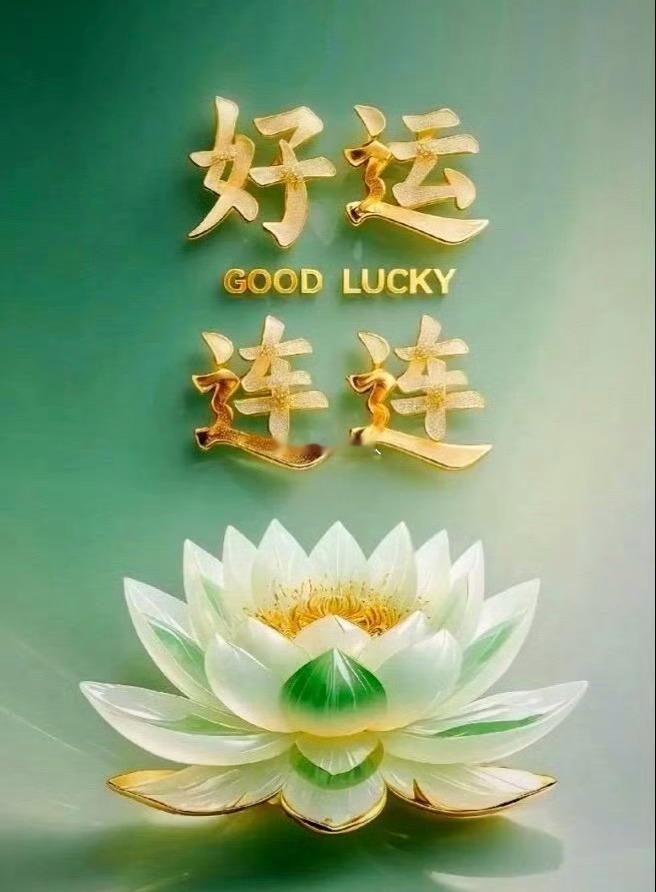 好运莲莲，好运无限，天赐好运接…… 