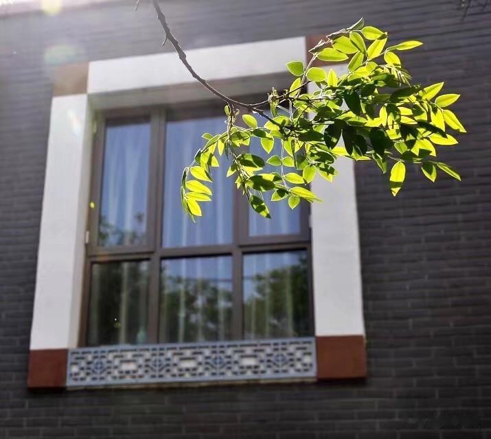 午后的阳光，明媚而温暖。
走在无人的大街，看到这一幕……我抬手就是一张。
这是谁