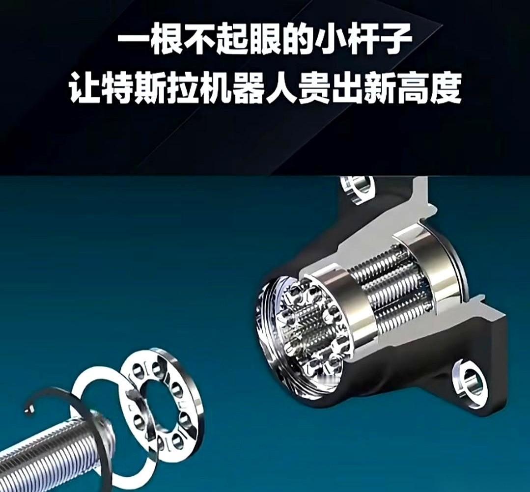 特斯拉那个机器人，身上最值钱的不是芯片，不是电机。
是一根小小的螺杆。
你没听错