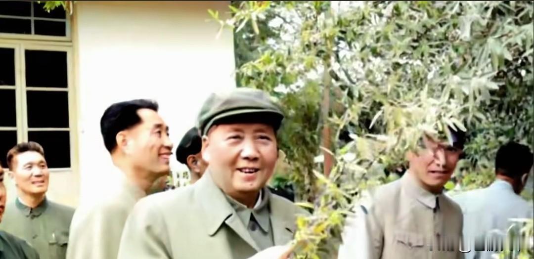 毛主席在济南珍珠泉
询问此树的名字—桂香柳