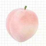 银霜热聊影视剧