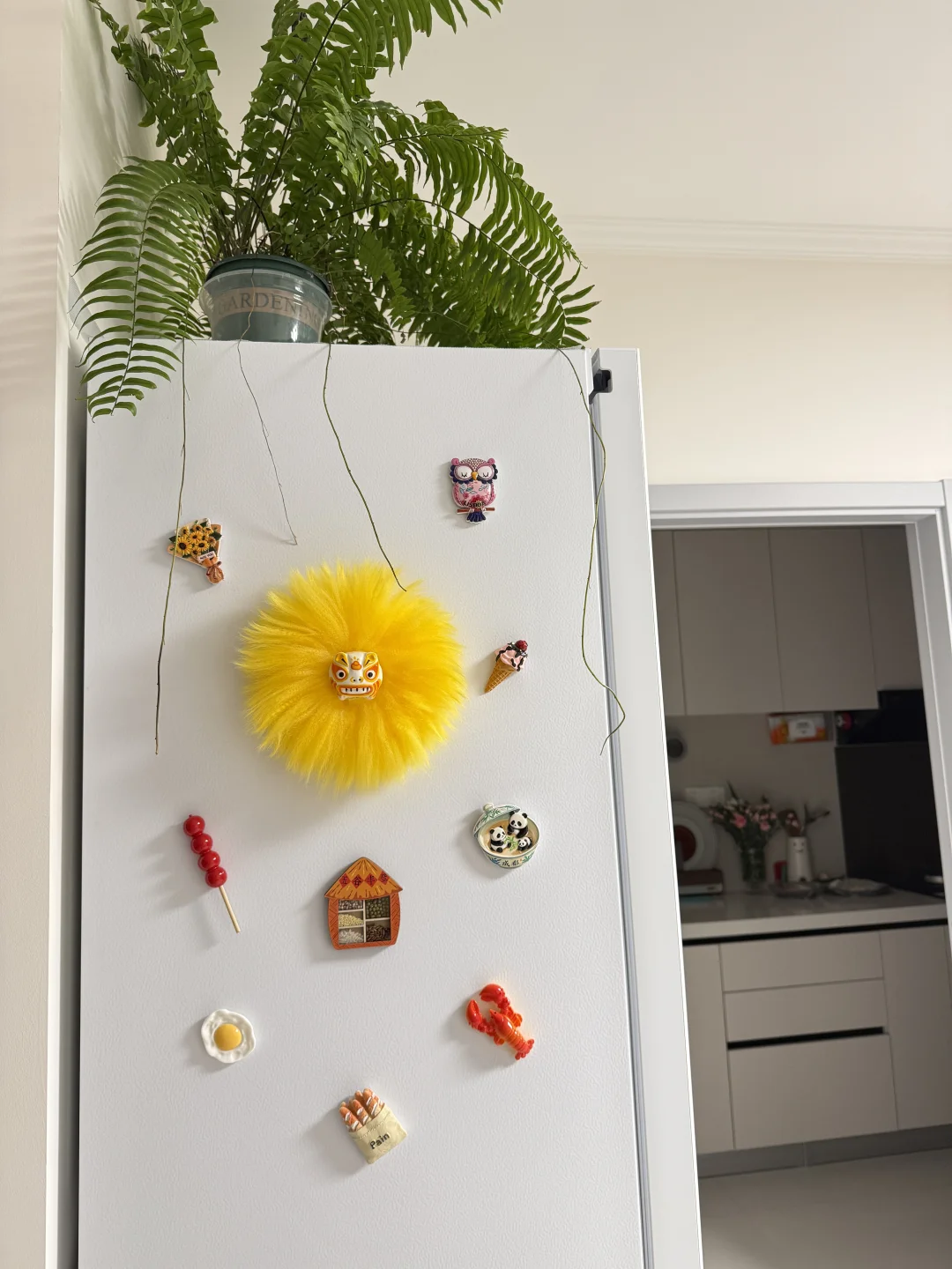 有些冰箱贴，放上去就知道谁是王者