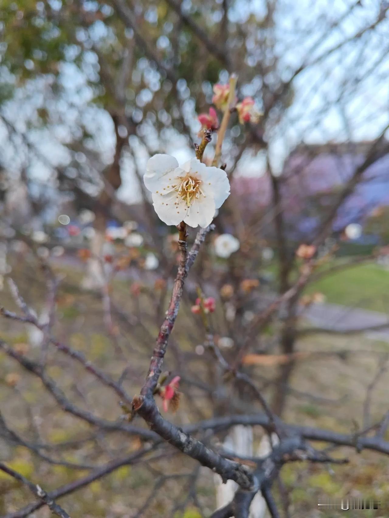 万能生活指南三月时分天气变化无常，注意防范倒春寒。