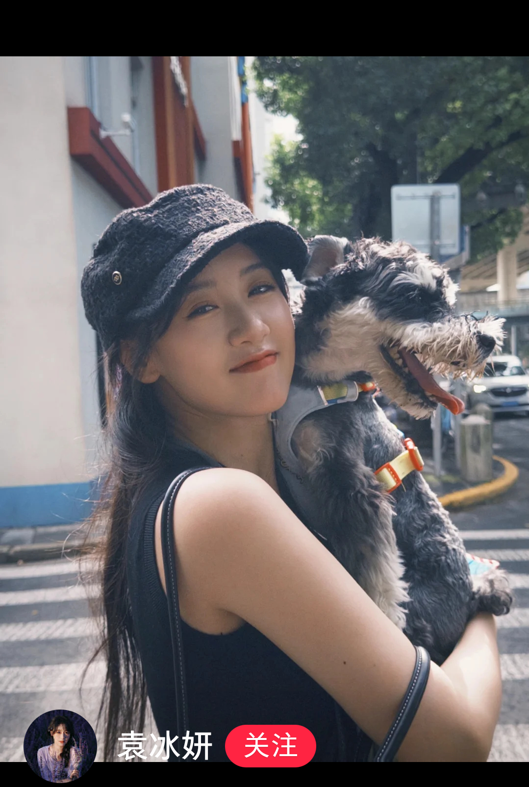 最爱看的宠物博主更新了。 