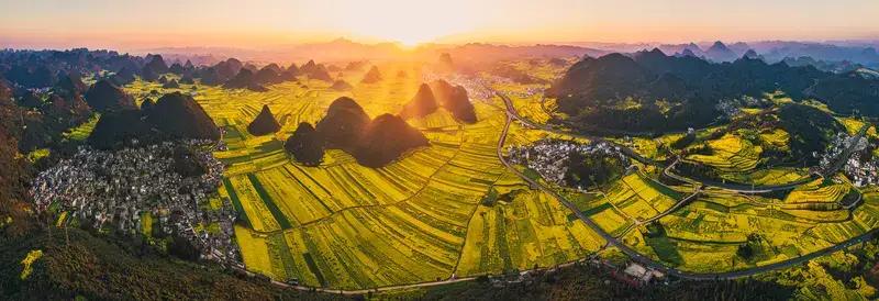 有人说太阳新郎，鲜花🌸是新娘，一年四季穿红妆，儿孙满堂满山岗。这浪漫的比喻，勾
