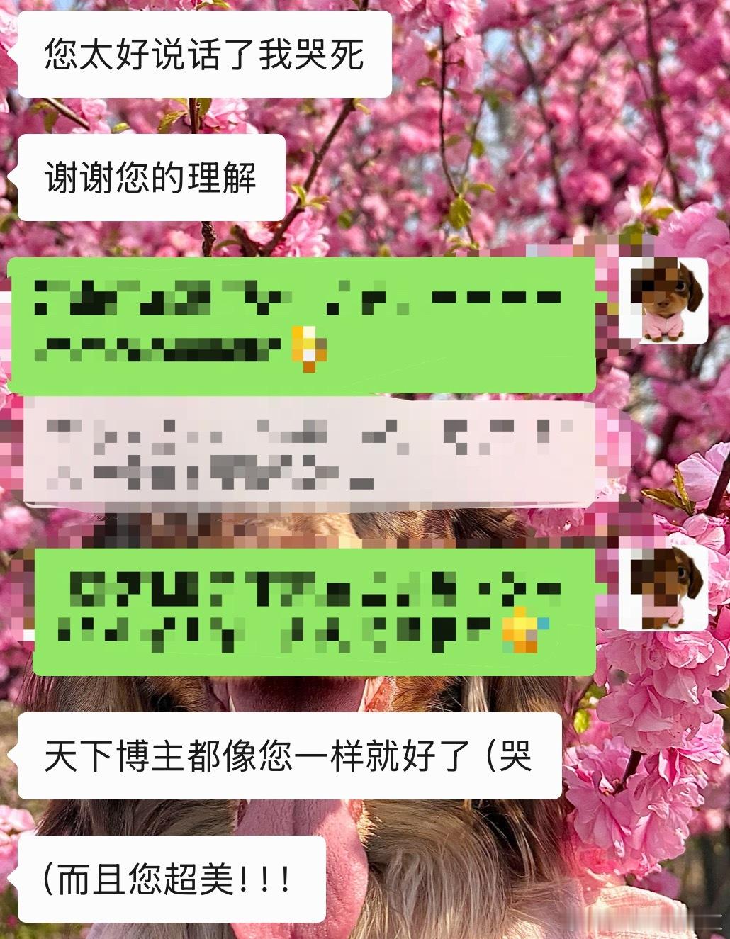 遇到可爱pr妹妹🥹 