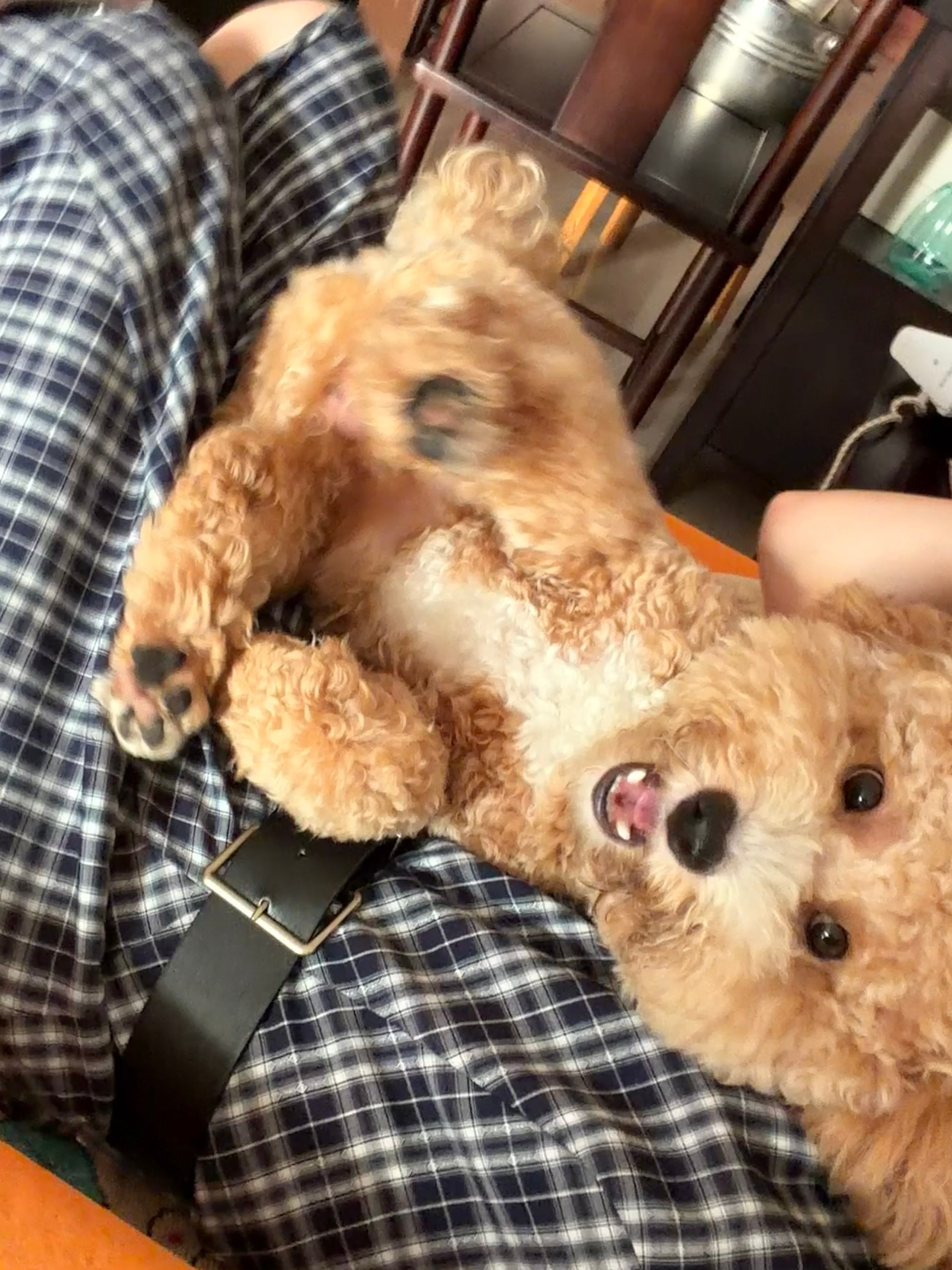 可爱baby洗香香 