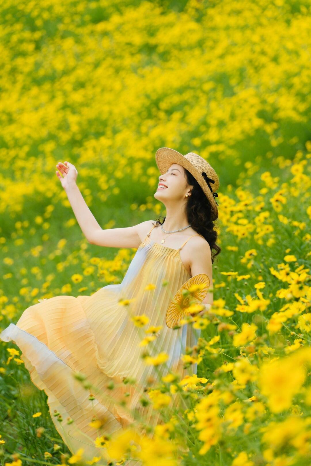 明媚的夏日气息，金鸡菊这样拍也太美啦！