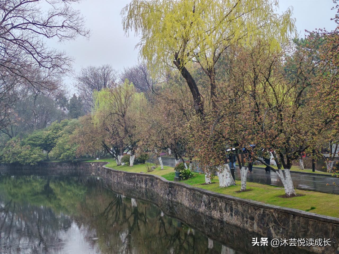人性最大的讽刺：倾尽所有，却换不来一句“妈我有钱”😮‍💨
 
朋友给我讲了一