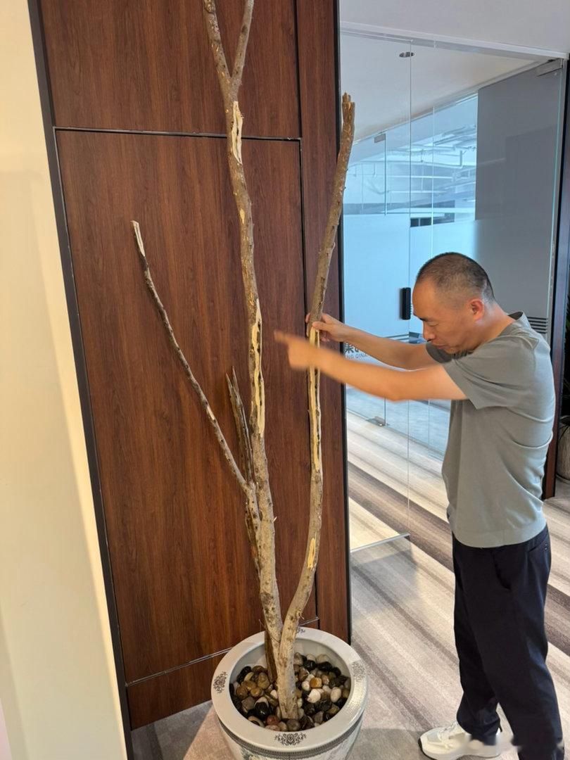 这是一家在海南有自己种植基地的沉香企业，张总是东方财富的第一批风险投资人[呲牙]