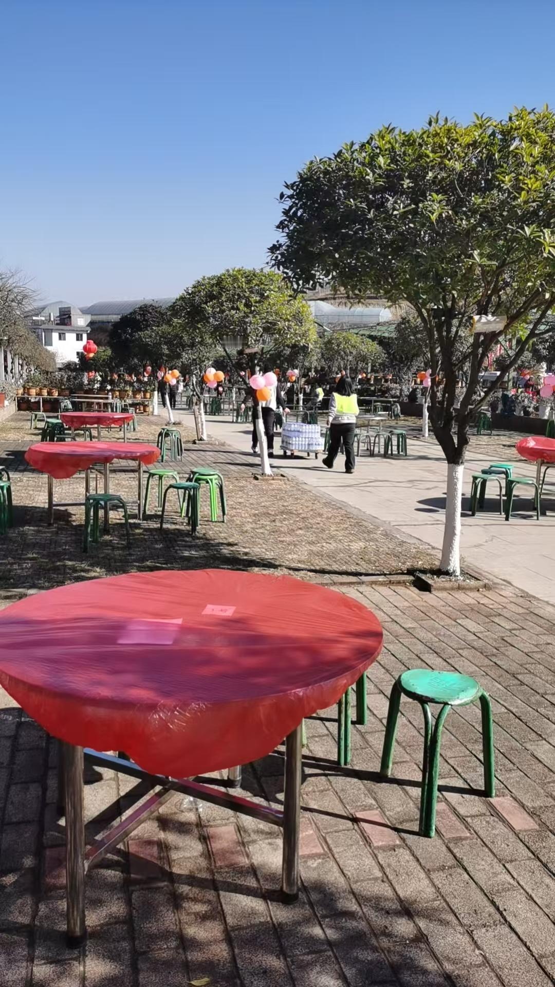 云南省宣威市第一届火腿年猪节活动，最恶心的一幕还是发生了！

有人因为抢两个烧洋