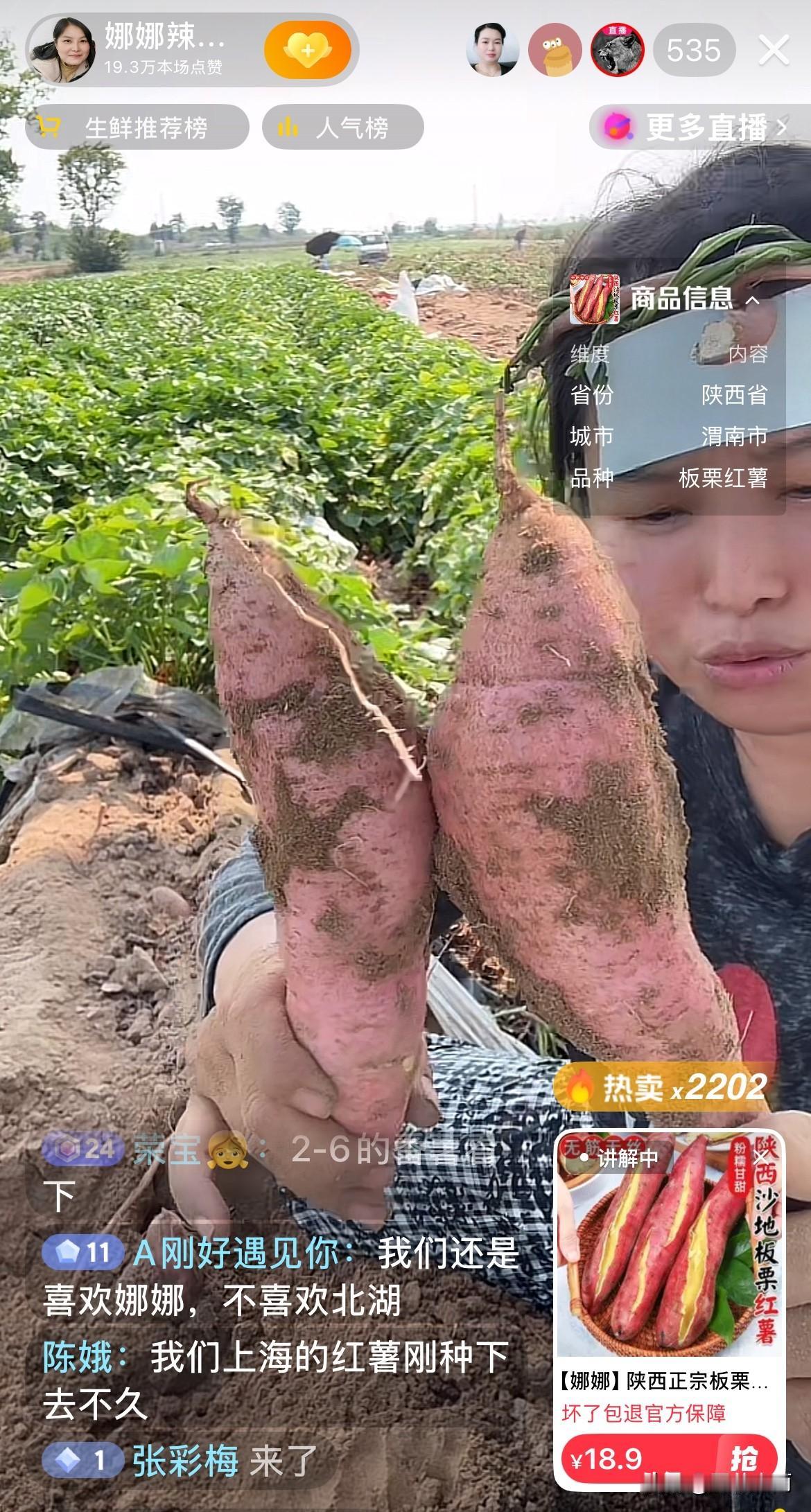 娜娜在陕西的红苕地里，顶着40度的高温售卖红薯，就为了挣奶粉钱，可真够拼的！
 