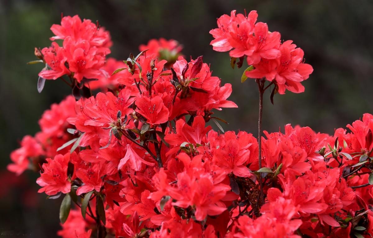 别人对你说的话，做的事，从来不能决定你是什么样的人；你对别人说的话，做的事，才能