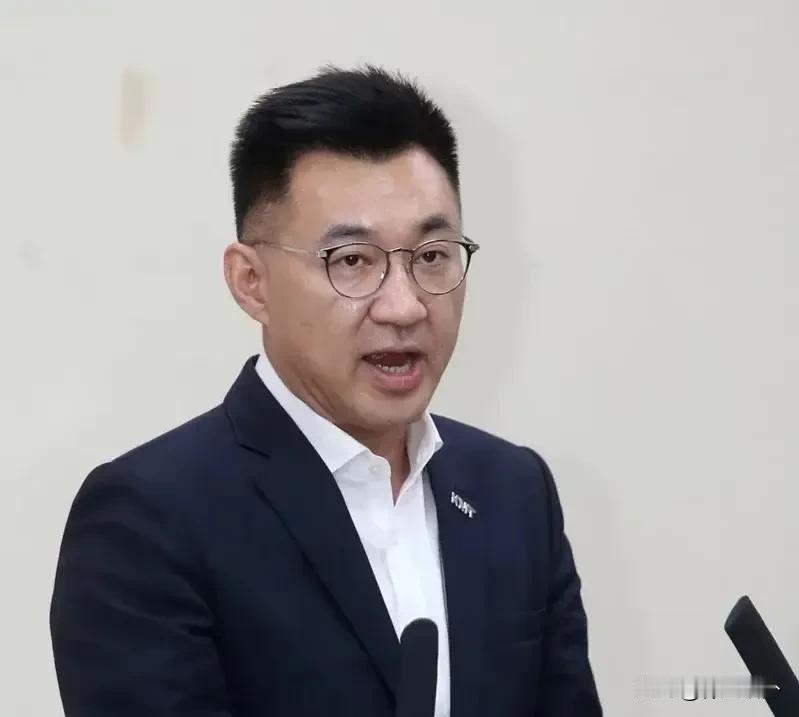江启臣，要去帮民进党的忙，给我们找麻烦
国民党前主席、现在的民意代表，江启臣今天