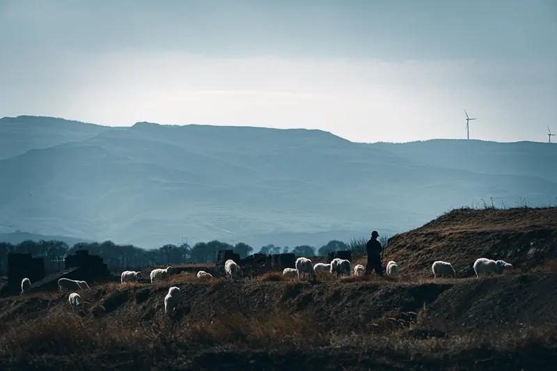 已筛选出2对夫妻 月薪1.6万放羊这事儿闹得挺火，话题阅读量超4亿。内蒙古锡林浩