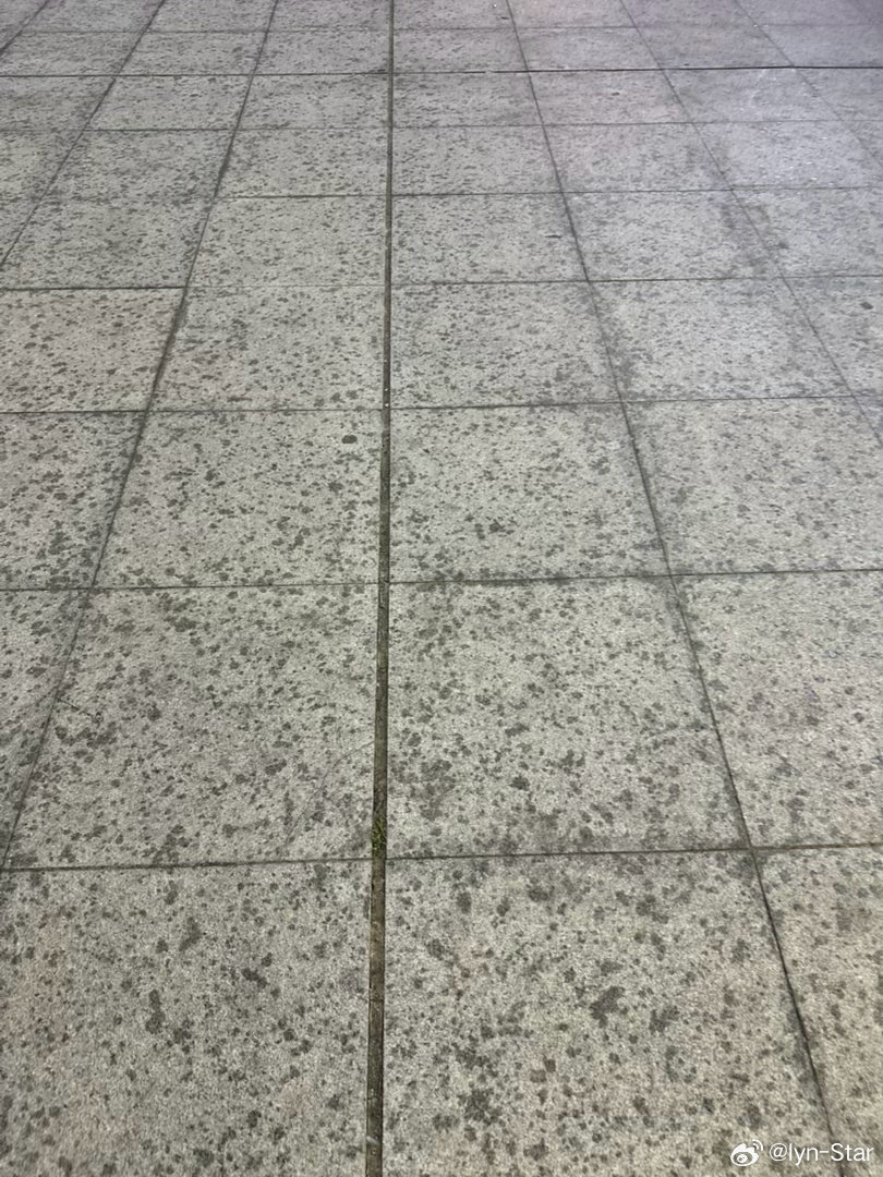 哎吆居然下雨了
