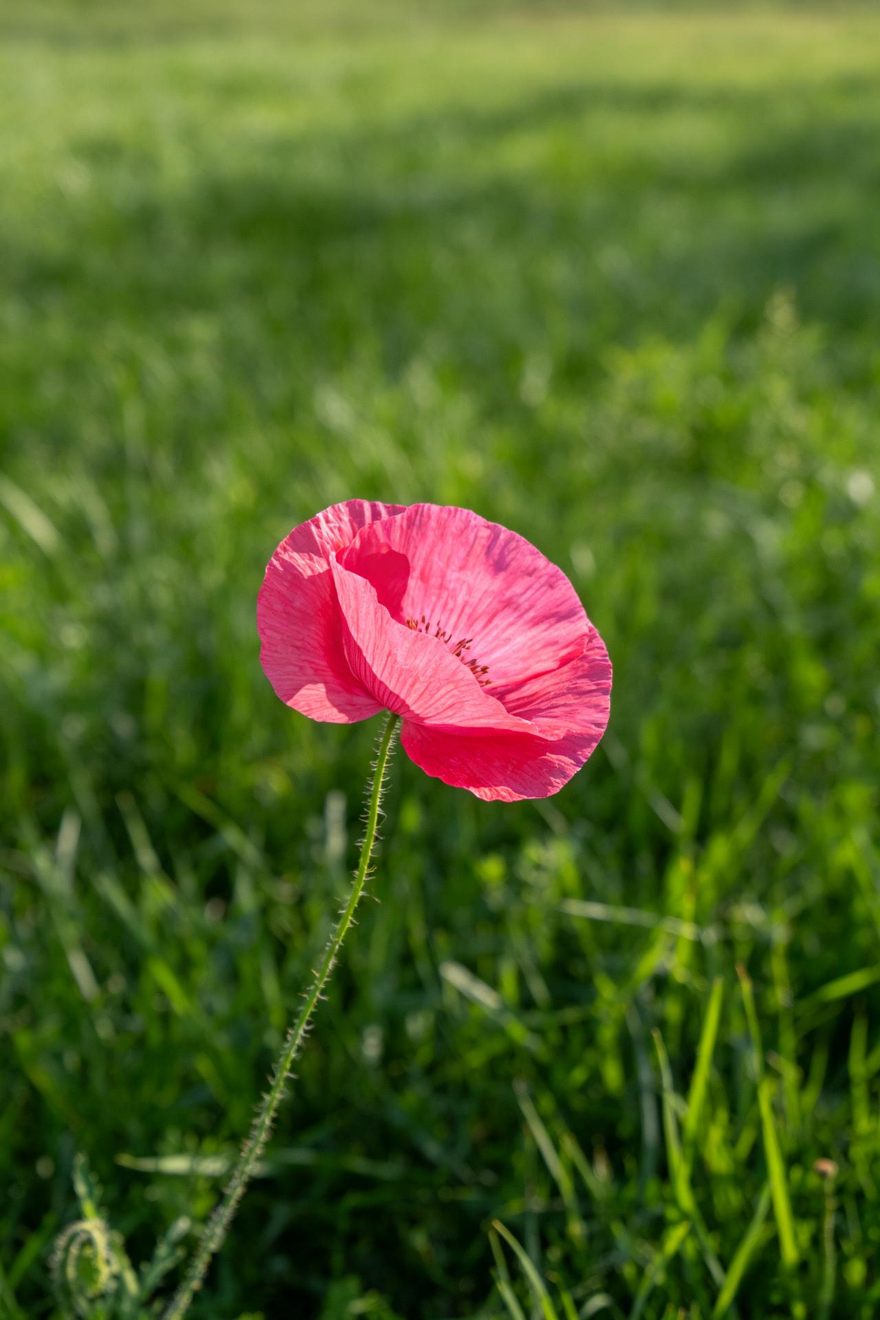 经济学家说：
“当你赚了大钱以后，记住这句话：能够变现的，能增值的才是资产。赚了