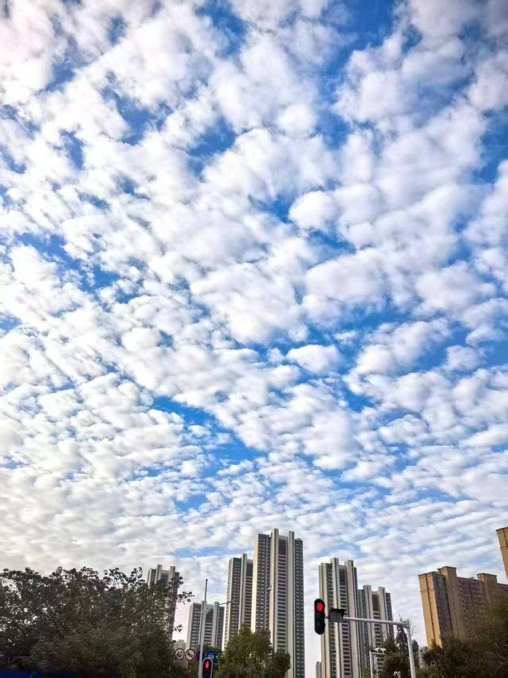 今天出门一抬头，哇塞！

天上的白云也太绝了吧，一团一团的跟棉花糖似的，恨不得咬