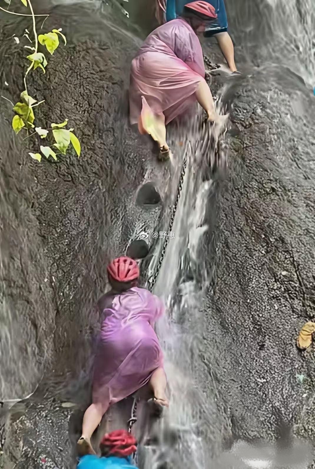 真不明白他们为了啥？ 