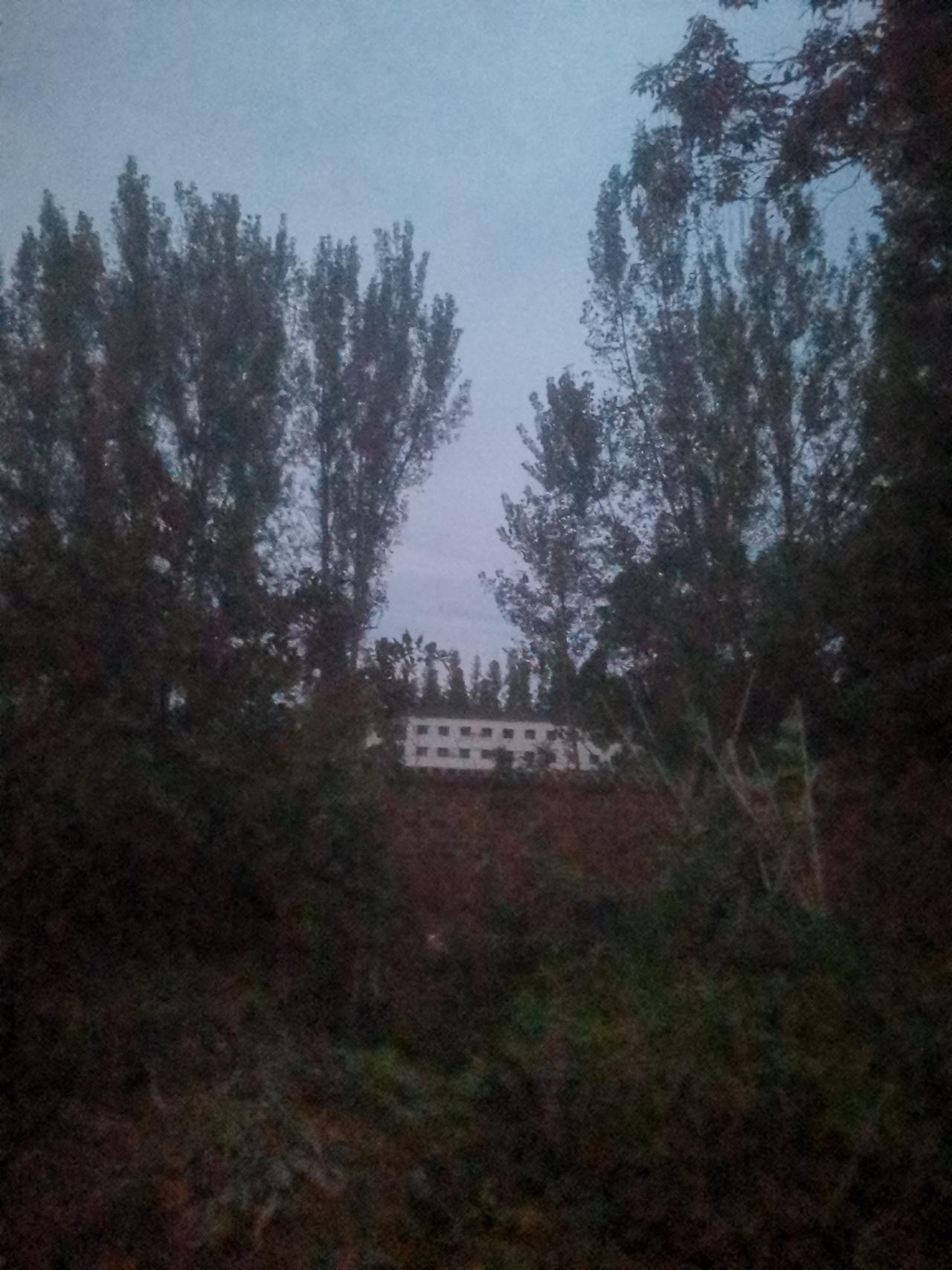 现在是早晨的五点四十五分，外面的天刚刚亮，无风，正下着小雨。
雨下得并不大，也不