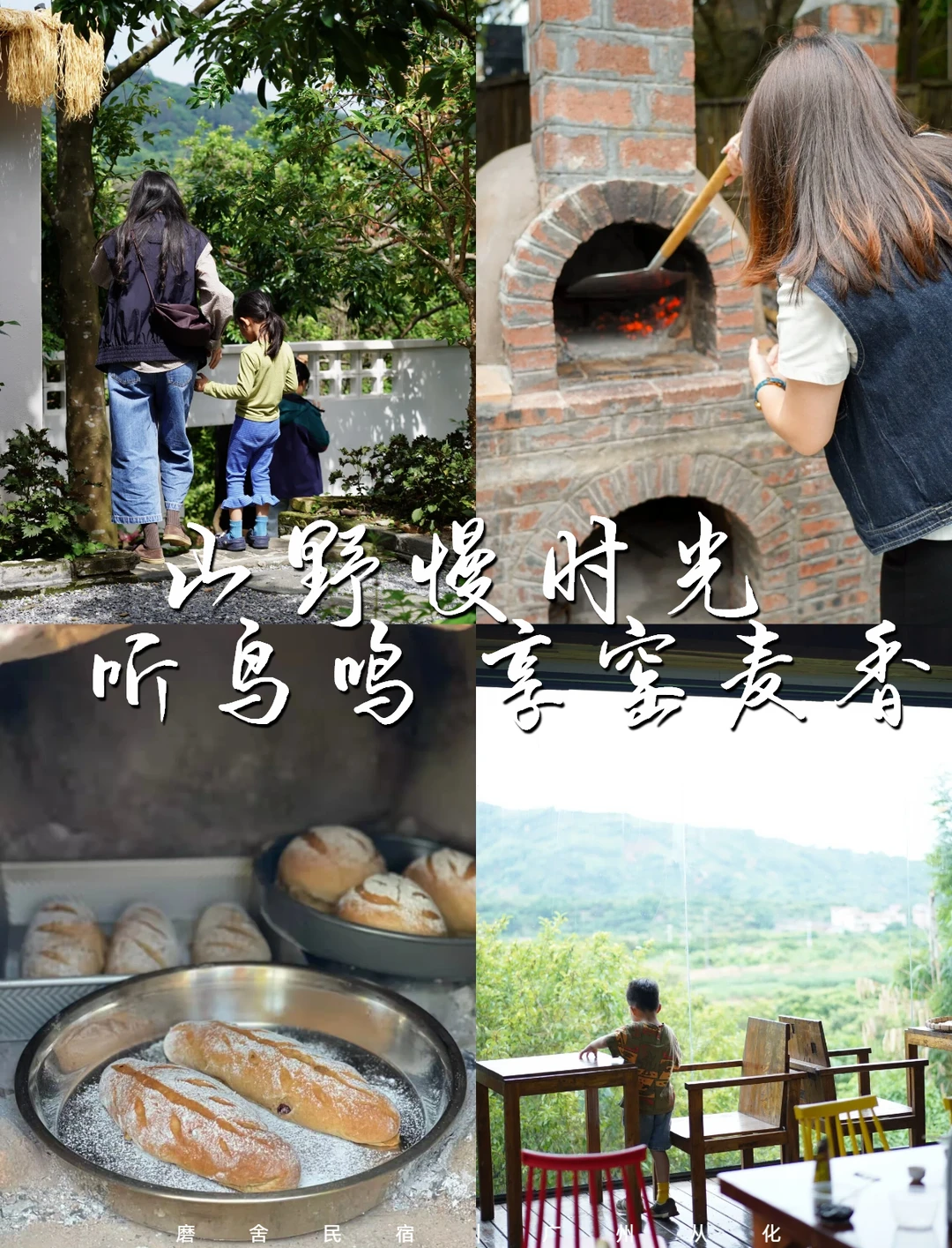 广州周边游｜被鸟鸣，窑麦香包围的山野生活