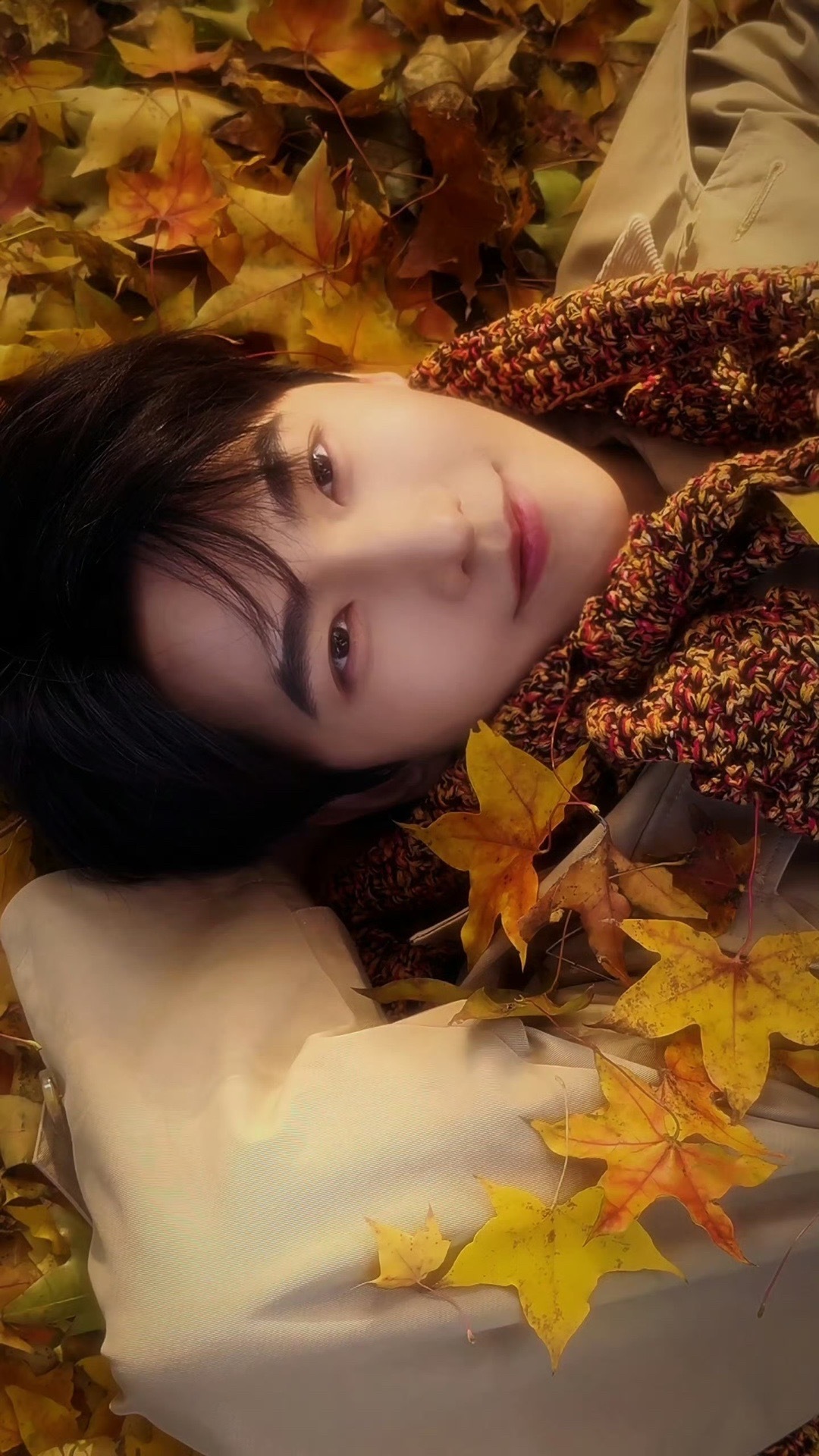 杨洋刷新了我的手机颜值杨洋动态壁纸太治愈了，每次开关屏保都有他的画面，代入感拉满