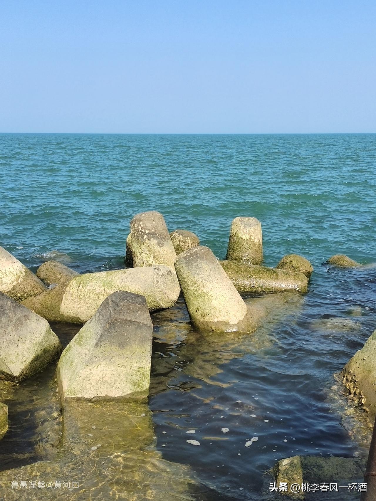 随手拍，分享图片东营的海也挺好。