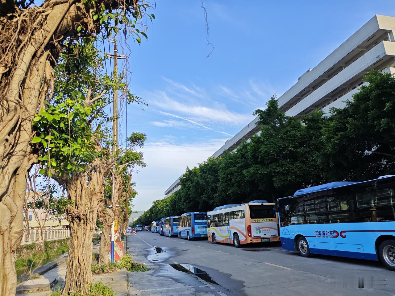 因为打游戏认识了一个和自己小10岁的女孩并结婚，最终又将因为打游戏。和这个女人分