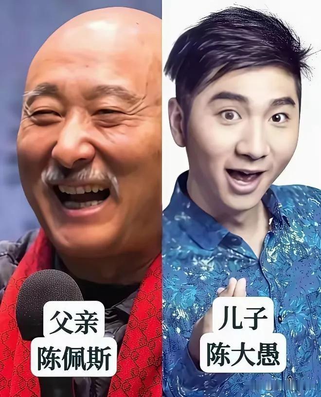 看了陈佩斯陈大愚、巩汉林巩天阔、范伟范曦文这些喜剧明星和子女的合照，才发现幽默感