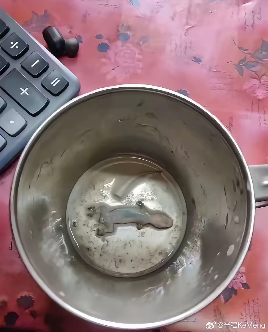我朋友这几天喝水有点辣嗓子，想着把烧水壶洗洗，结果一打开盖子天塌啦！ 