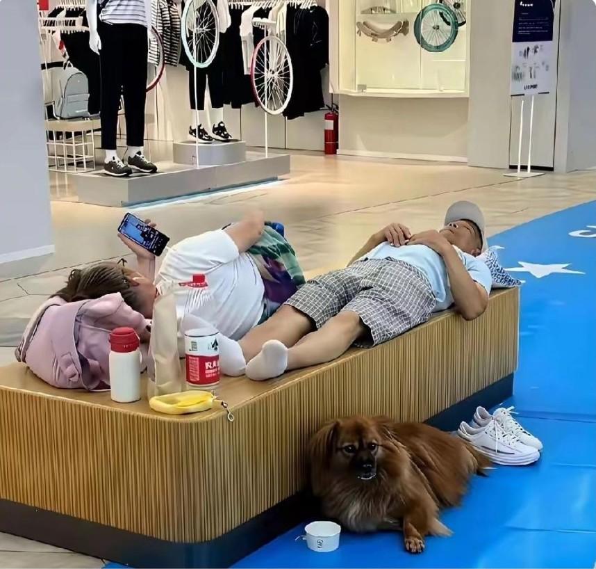 为了蹭空调，连脸面都不顾了吗？
瞧这老两口的穿着打扮，不像是家里开不起空调的人。