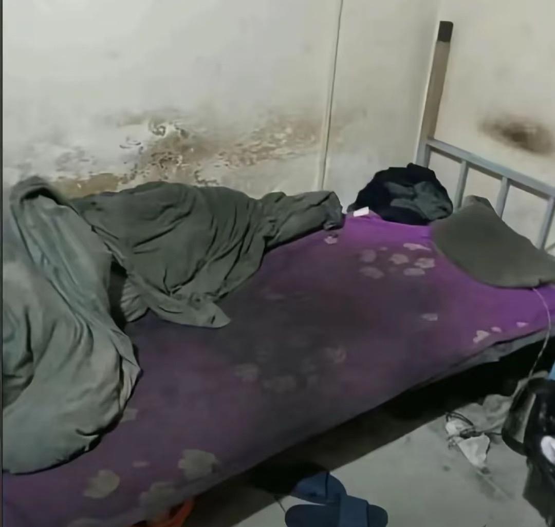 这给多少彩礼能干