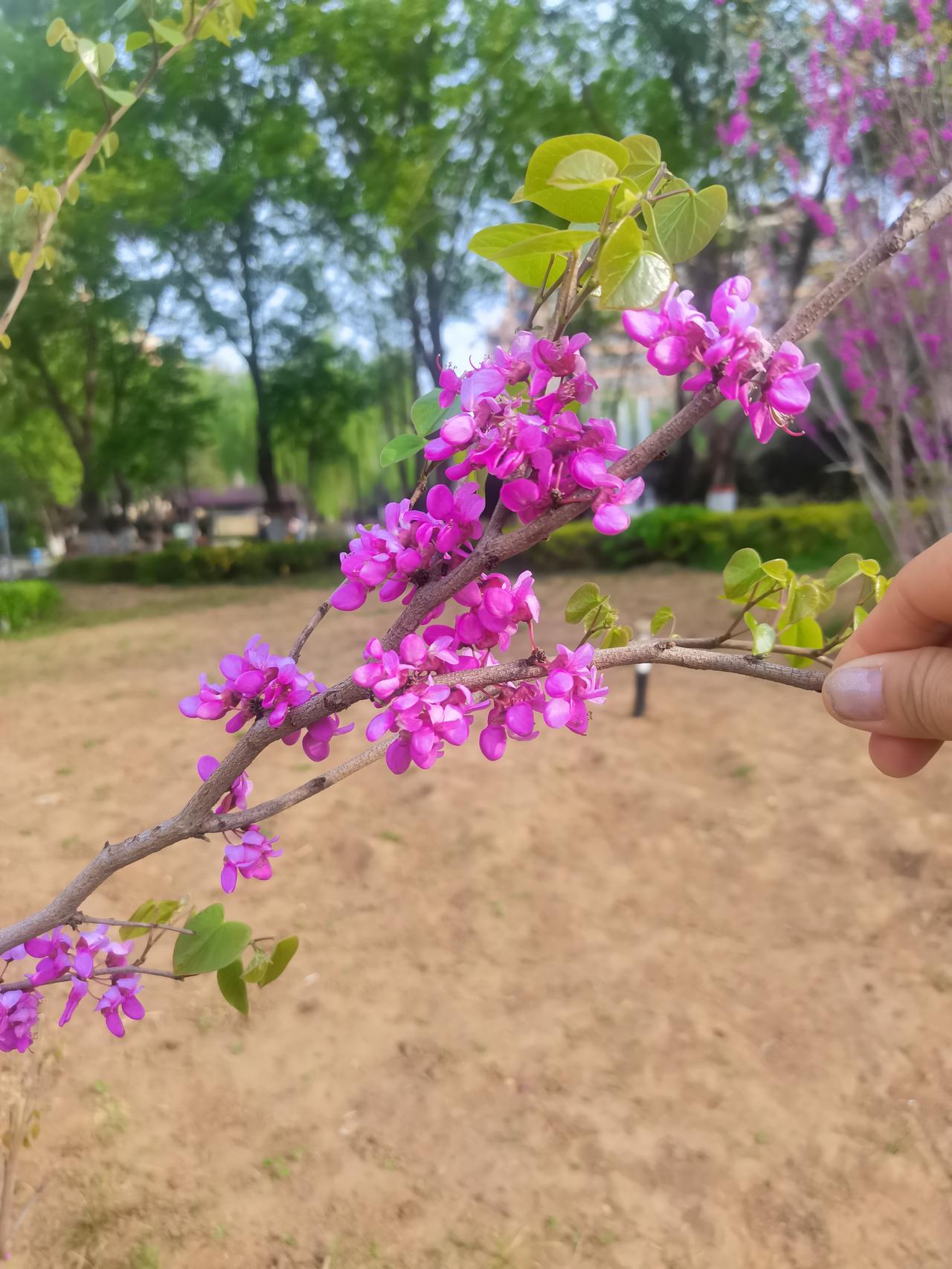 曾经有一位朋友问我：如果只能对自己说一句话，你最想说什么？

我想了很久，最后写