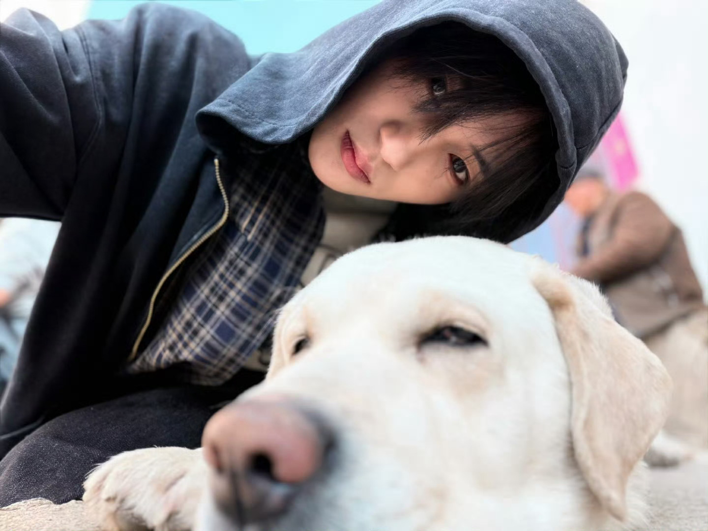 演员张翅 🪽演员张翅 🪽张翅 你永远可以相信你自己 无所畏惧大步走吧