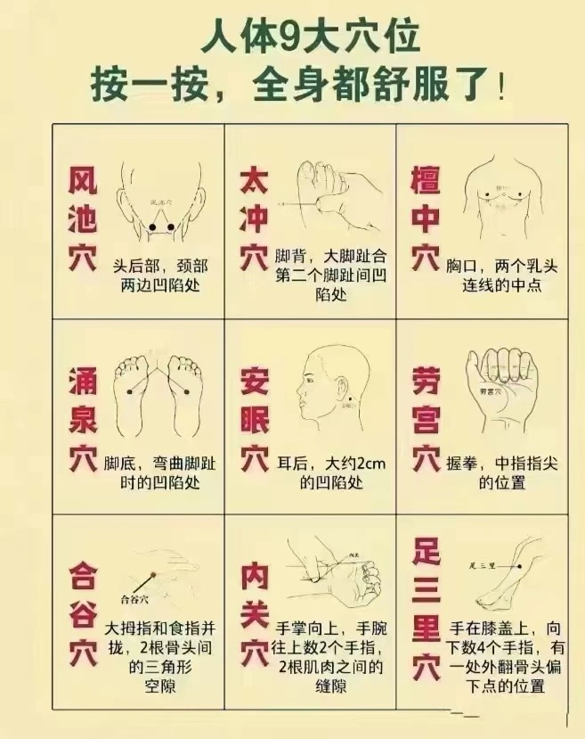 小穴位，治大病，无病也保健风池穴—祛风，治头痛。太冲穴—理肝气，清肝火颤中穴—治