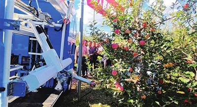 采摘机器人“走进”苹果种植园