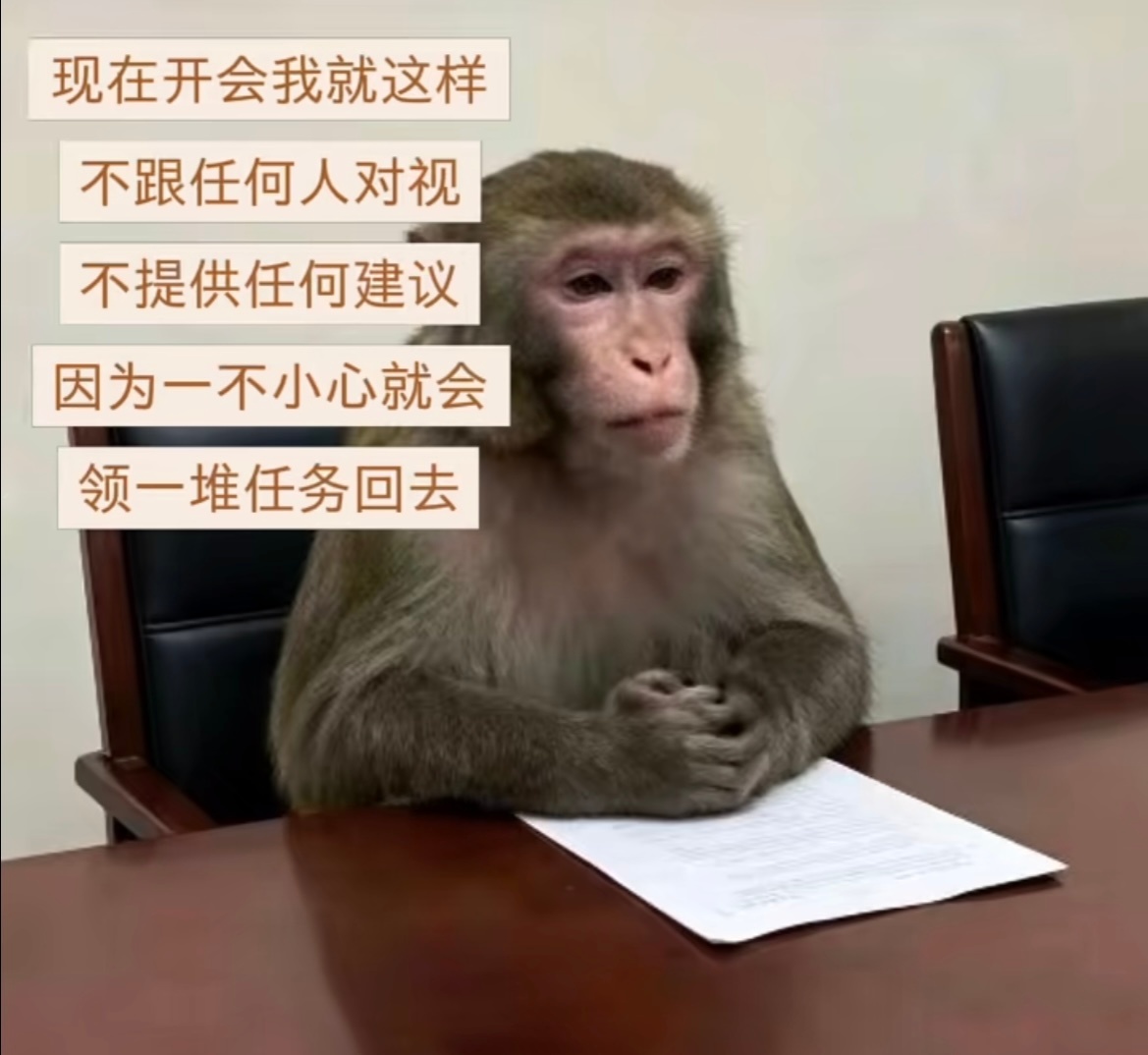 《现在开会我就这样》打工人不语只是一味地共鸣 