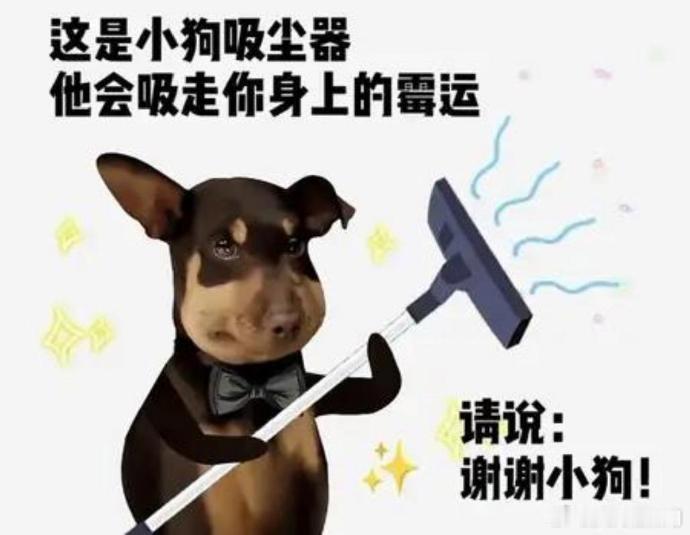 谢谢小狗 