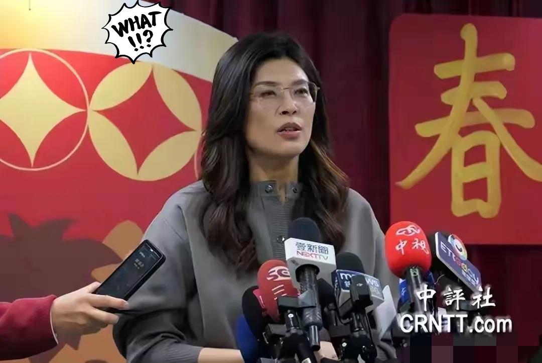 郑丽文这番话口气真够硬，可她的底气，根本站不住脚！
 
接受丹麦媒体采访时，她公