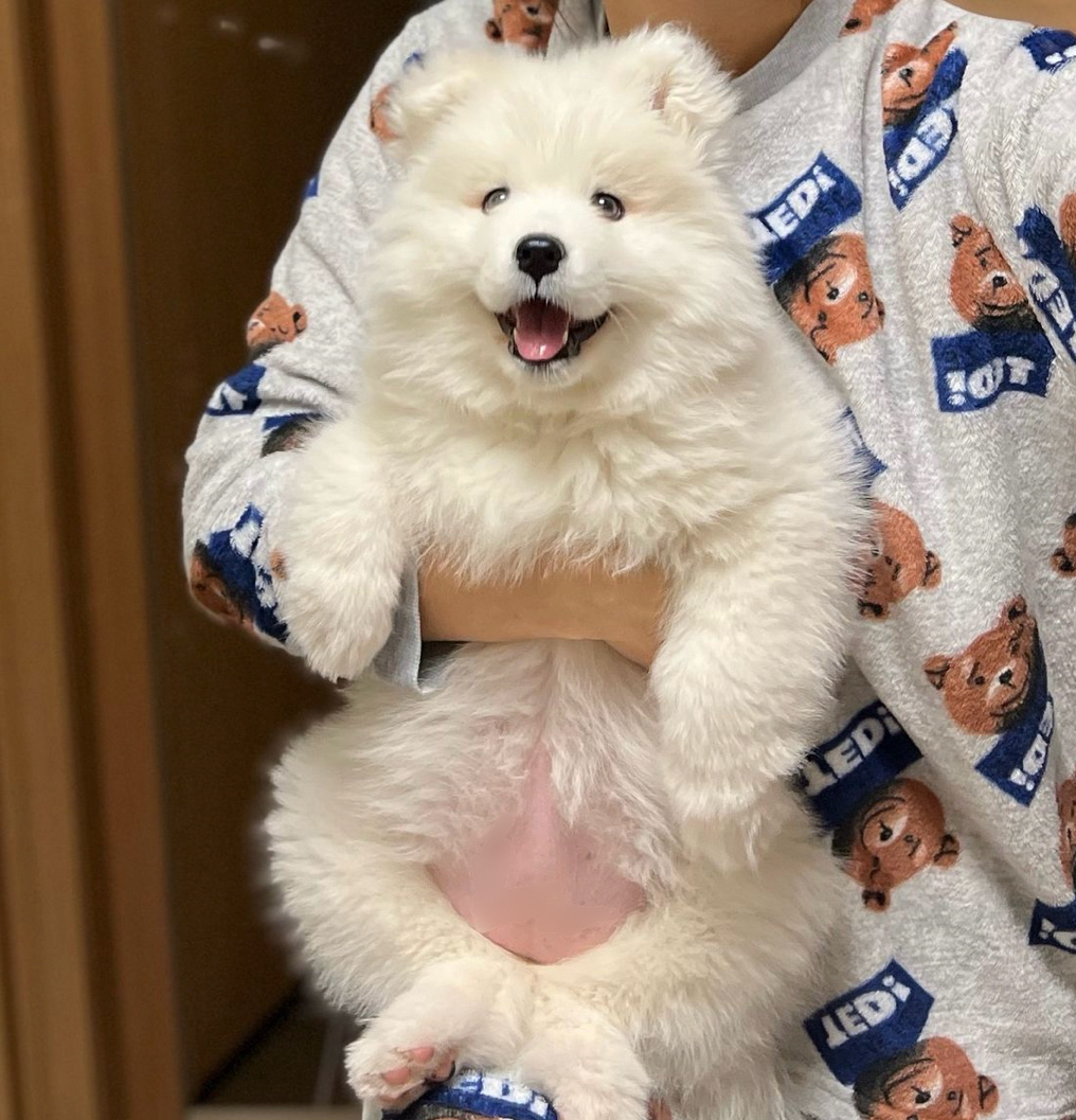 这和抱了只小熊🐻有什么区别啊啊！！ ​​​