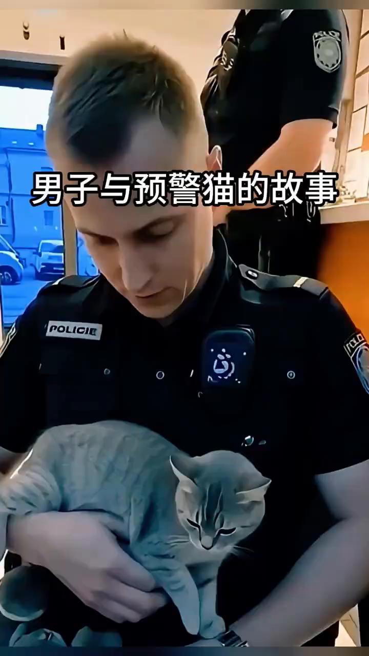 男子与预警猫的故事。
在布拉格一个繁忙的警局里，清晨的忙碌正有序展开。这时一位不