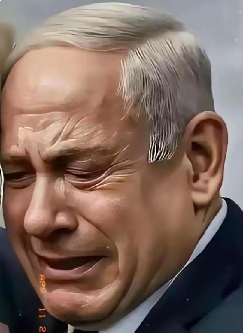 现在国际社会真该审判以色列的内塔尼亚胡，给他定个战争侵略罪一点都不为过。2026