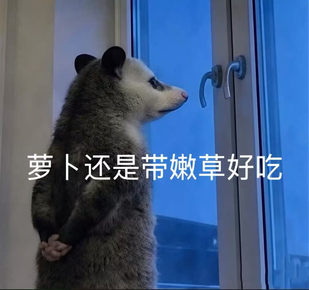 有些人心里清清楚楚藏着答案只是打心底抗拒那份戳破现实的真实 