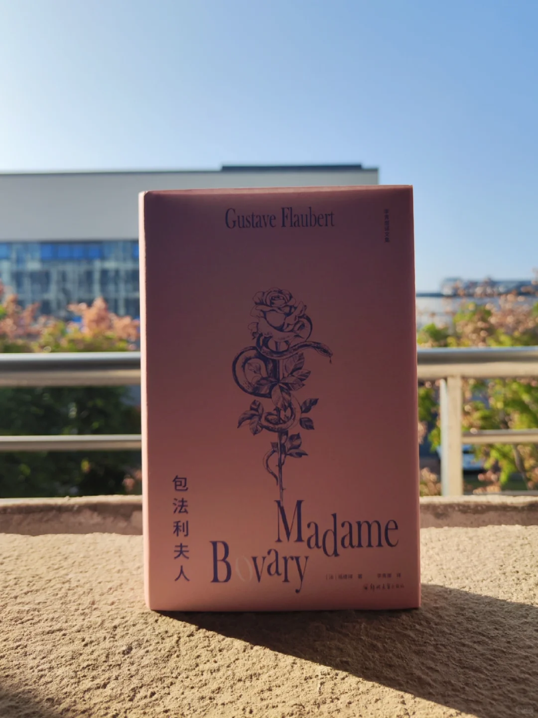 第594本：《包法利夫人》，活该的女人🔥