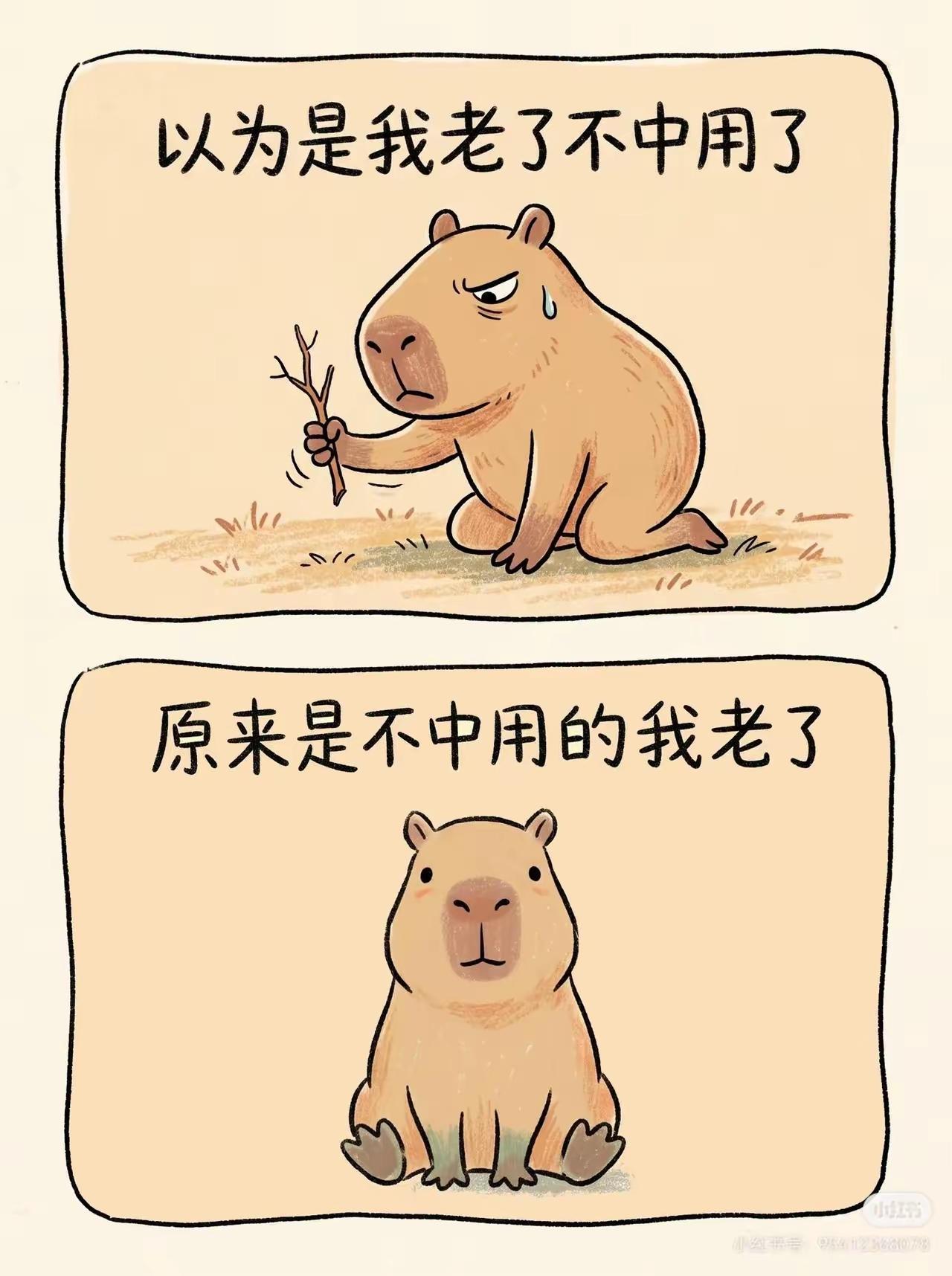还有3个月就退休了，感觉自己越来越像这只水豚…

还有三个月就要退休了，刷到这只