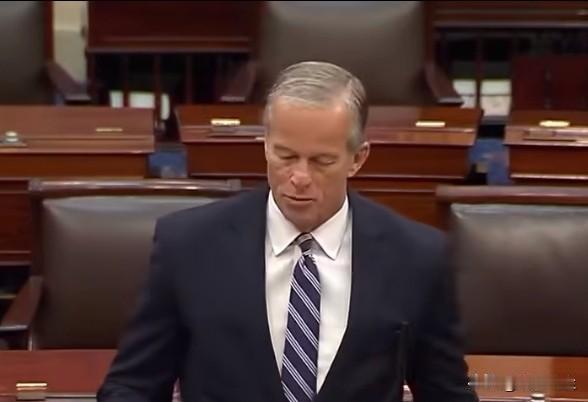 共和党参院领袖图恩在发言中狠批民主党，痛斥其拒绝为边境巡逻和移民执法拨款，若放任